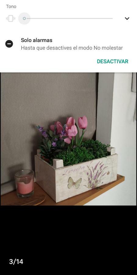 Habitacion Centrica - Only Women Аликанте Экстерьер фото